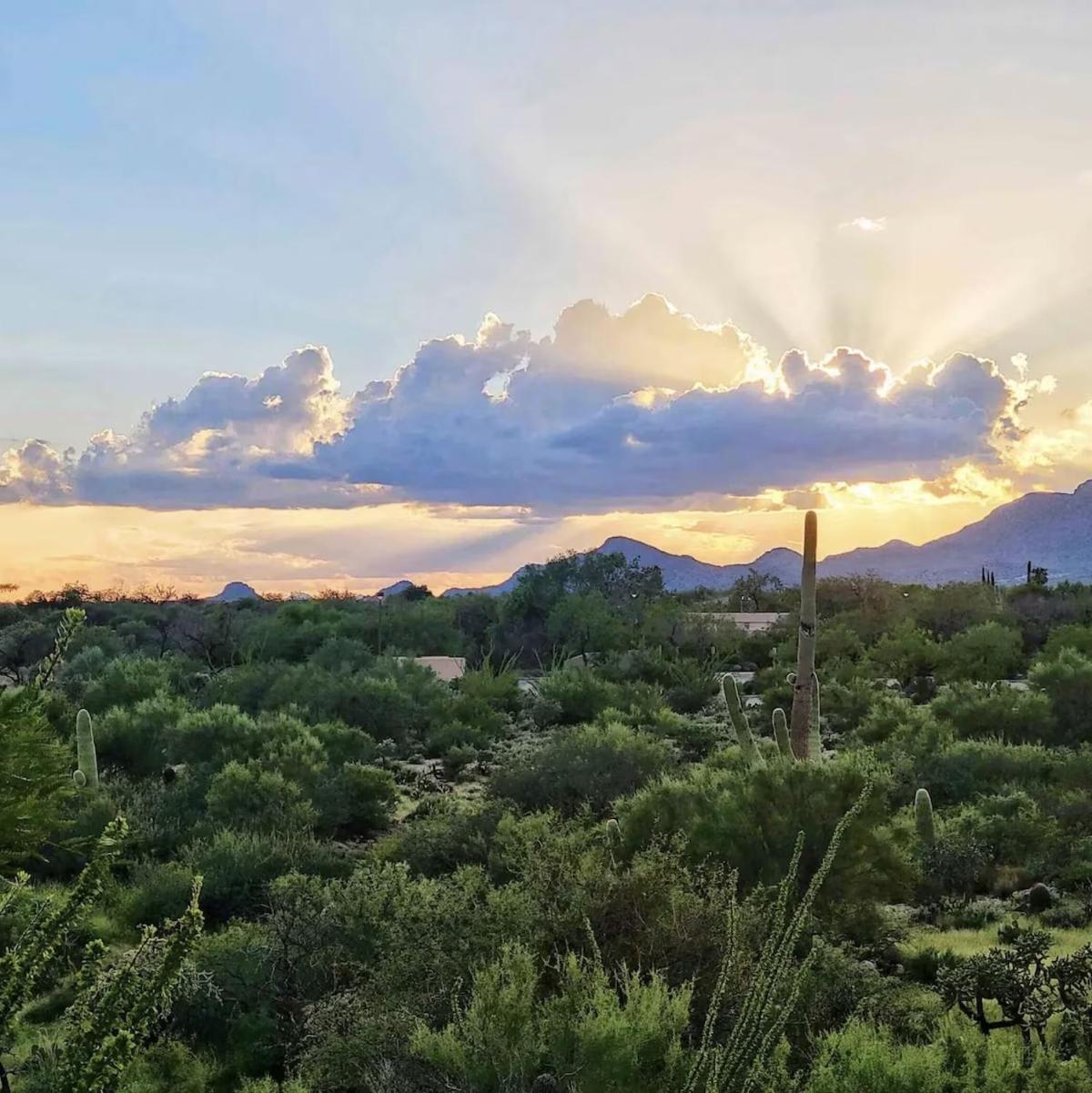Luxury 3Bd 2Ba Home Near Tucson With Desert Views - Low Summer Rates! Oro Valley Kültér fotó