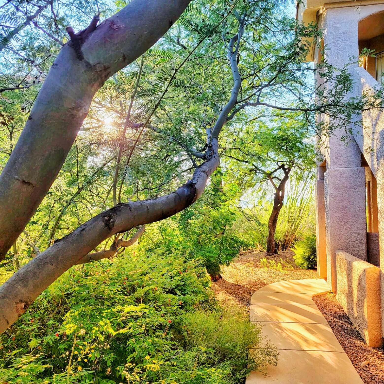 Luxury 3Bd 2Ba Home Near Tucson With Desert Views - Low Summer Rates! Oro Valley Kültér fotó